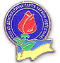 Металлический значок